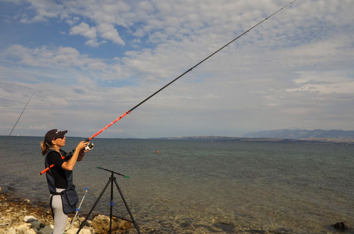 Slika za kategoriju Surf fishing, pilk i boat štapovi