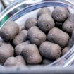 Mainline Big River Barbel Dumbell Hookbaits