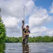 Avid Elevate Štapovi 12,6ft 3,75LB