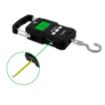 Delphin Vaga 75kg LIFTO Digitalna