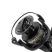 Delphin MAGIX DP Role