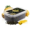 Delphin Reaxe READY&GO method feeder pelete Corn Pineapple za ribolov