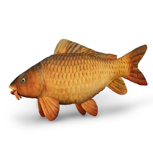 Delphin CARPY plišani šaran 60 cm realističan izgled ribolovni poklon
